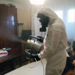Дезинфекция от клопов в Дудинке