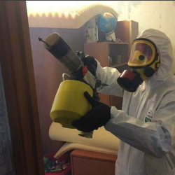 Уничтожение клопов в квартире. Дудинка